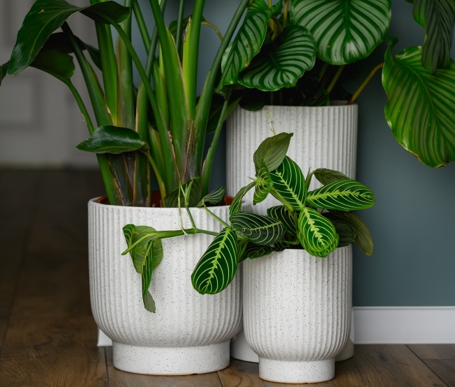 donice ceramiczne